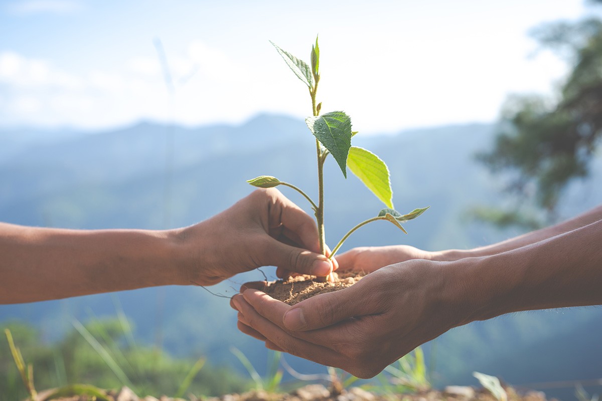 Reducing Packaging Waste: A Path to Sustainability